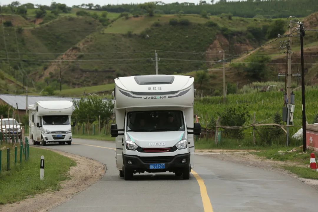 來福,以精致矗立在野性之中 來福,以精致矗立在野性之中